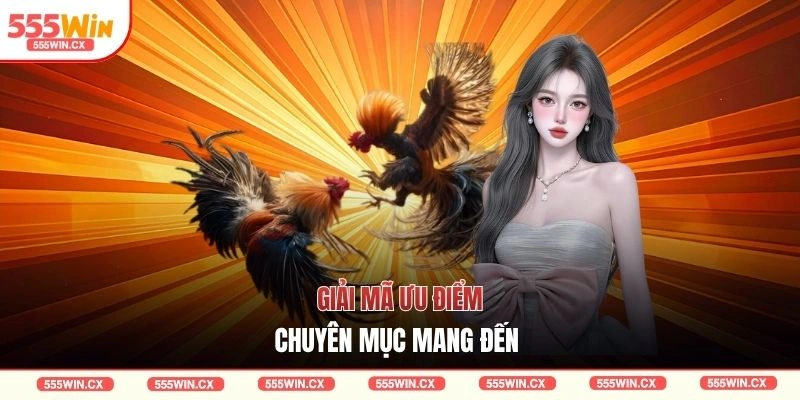 Giải mã ưu điểm chuyên mục mang đến 