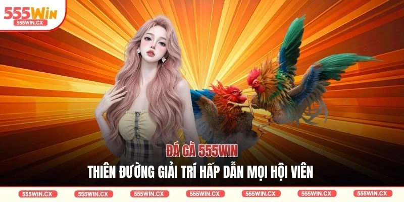 Đá gà 555WIN - Thiên đường giải trí hấp dẫn mọi hội viên 