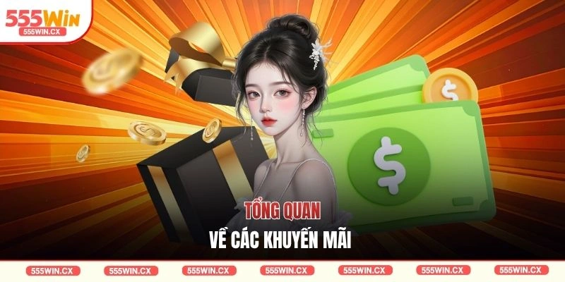 Tổng quan về các khuyến mãi 